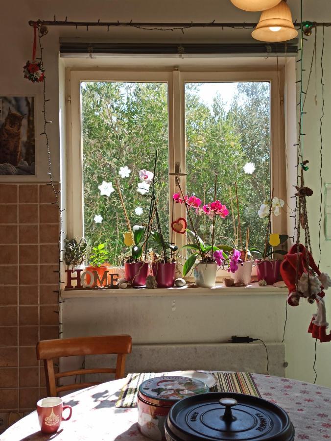 Barbat na RabuMaslinov Hlad公寓 外观 照片